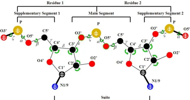 Figure 3.3 Atom labeling and nomenclature for reconstructing a suite within a dinucleotide  span