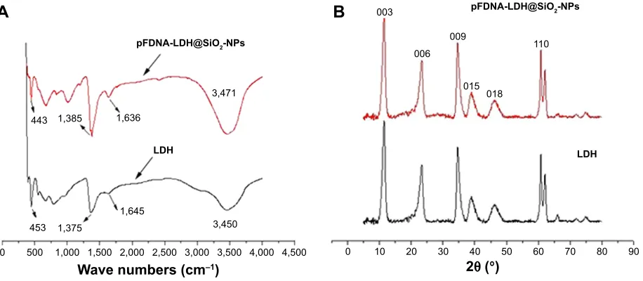Figure 6 In vitro release profiles of DNA from pFDNA-LDH@SiO2-NPs in phosphate-buffered saline (ph 7.4).Notes: The experiment was repeated three times and measured in triplicate