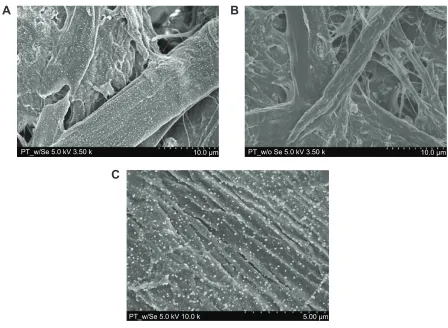 Figure 2 scanning electron microscopy images.Notes: scanning electron microscopy images of (A) a paper towel with a selenium coating at a 3.5 k magnification, (B) a paper towel without a selenium coating at a 3.5 k magnification, and (C) the paper towel in image (A) at a 10.0 k magnification.