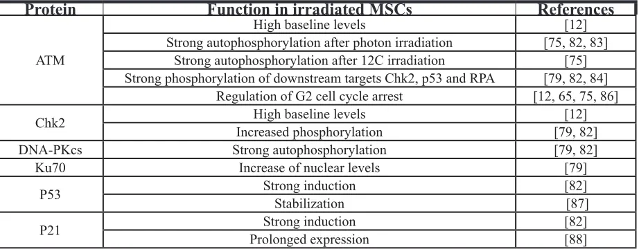 Table 1: The influence of irradiation on key components of the DNA damage signaling and repair pathways in mesenchymal stem cells.ProteinFunction in irradiated MSCsReferences