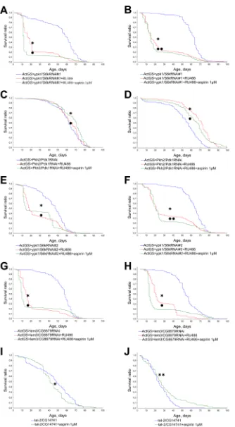 Figure 6: Effect of aspirin (1 μM) on the lifespan of Drosophila with down-regulated Pkh2-ypk1-lem3-tat2 signaling pathway