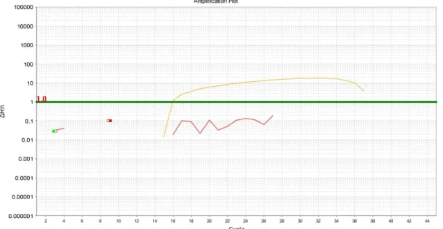 Figure	4	d:	Patient	A,	#19	(ankylosed),	GAPDH	qPCR	analysis.Ct=15.8	 	 	 	 	 	 	 	 Figure	4	e:	Patient	B,	#1	(control),	GAPDH	qPCR	analysis.	 Ct=15.54	 	 	 	