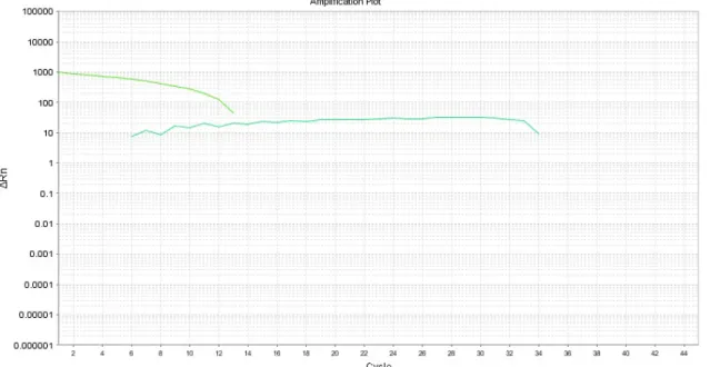 Figure	5	c:	Patient	B,	#1	(control),	BMP-2	qPCR	analysis.	 	 	 	 	 	 	 	 Figure	5	d:	Patient	B,	#16	(PFE),	BMP-2	qPCR	analysis.			 	 	
