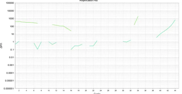 Figure	5	e:	Patient	B,	#17	(PFE),	BMP-2	qPCR	analysis.	 	 	 	 BMP-4	 	 	 	 Figure	6	a:	Patient	A,	#29	(control),	BMP-4	qPCR	analysis.	Ct=15.66		 	 	 	