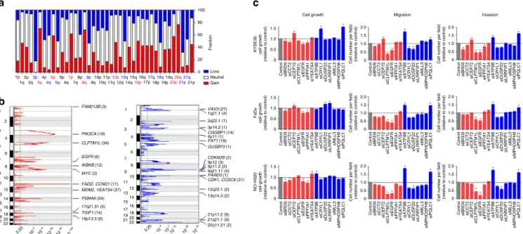 Figure 3 | CNV in ESCC and functional impact of some genes with CNV. (a) CNV at arm level