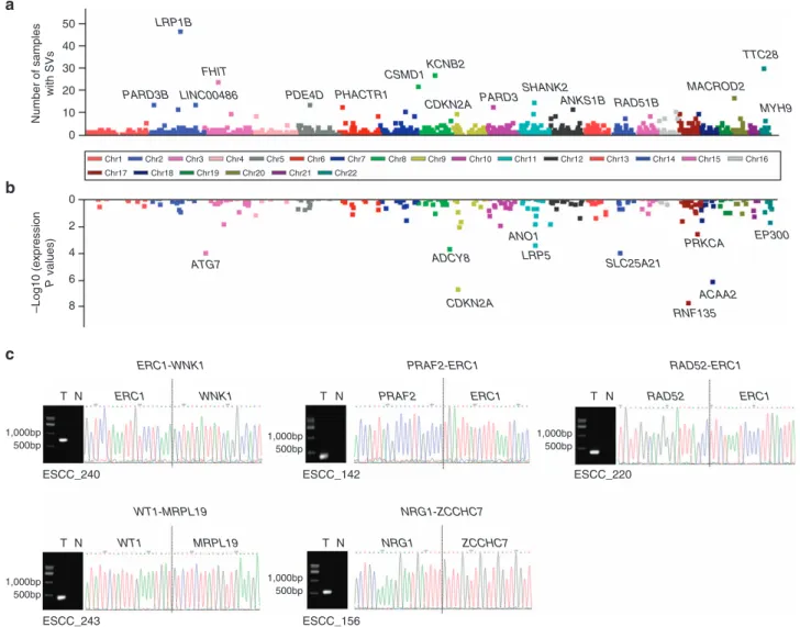Figure 4 | SVs and their effects on gene expression. (a) Number of samples with at least one SV breakpoint in gene region