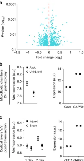 Fig. 7 Netrin-1 gene expression following axotomy in micro ﬂuidic cultures and in vivo following spinal cord hemi-transection Microarray analysis was performed on somatodendritic samples of uninjured control and 24 h post-axotomy chambers