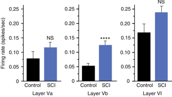 Fig. 4 Spontaneous single-unit ﬁring rate in hindlimb cortex 4–18 weeks following spinal cord injury