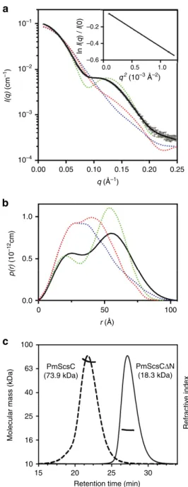 Figure 2 | SAXS and MALLS of PmScsC. (a) Small-angle X-ray scattering data collected from wild type PmScsC (grey) and the calculated scattering proﬁle of the ensemble model overlayed in black (SASBDB: SASDB94)