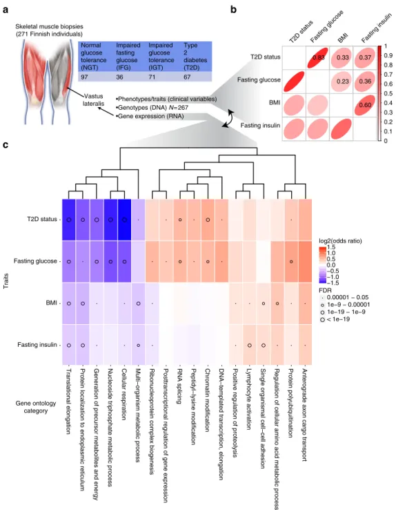 Figure 1 | Molecular proﬁling maps of skeletal muscle combined with dense phenotyping reveals insights about T2D
