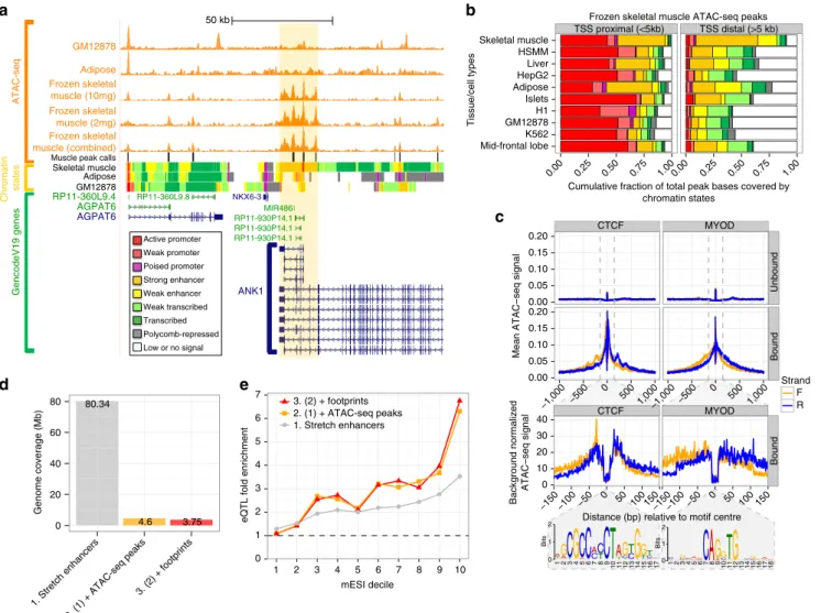 Figure 3 | ATAC-seq maps in frozen skeletal muscle. (a) ATAC-seq proﬁles in skeletal muscle replicates and combined compared with similar proﬁles in adipose 21 and the lymphoblastoid cell line GM12878 (ref