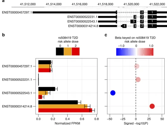 Figure 5 | Truncated ANK1 isoforms are expressed in muscle and have differential splicing associated with rs508419 genotype