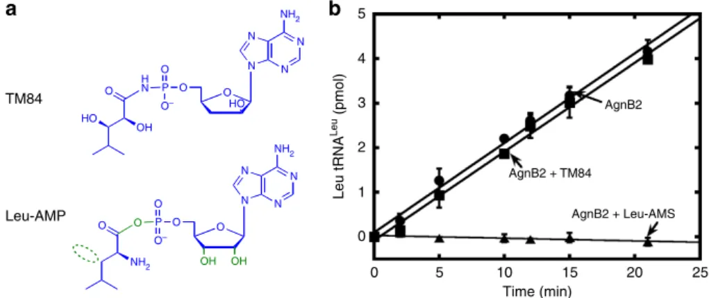 Figure 2 | AgnB2 discriminates between a stable Leu-AMP analogue and TM84. (a) Chemical structures of Leu-AMP and TM84 with differences highlighted in green