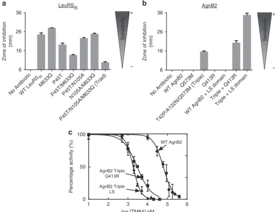 Figure 6 | Comparison of antibiotic sensitivity of wt and mutant forms of LeuRS At and AgnB2