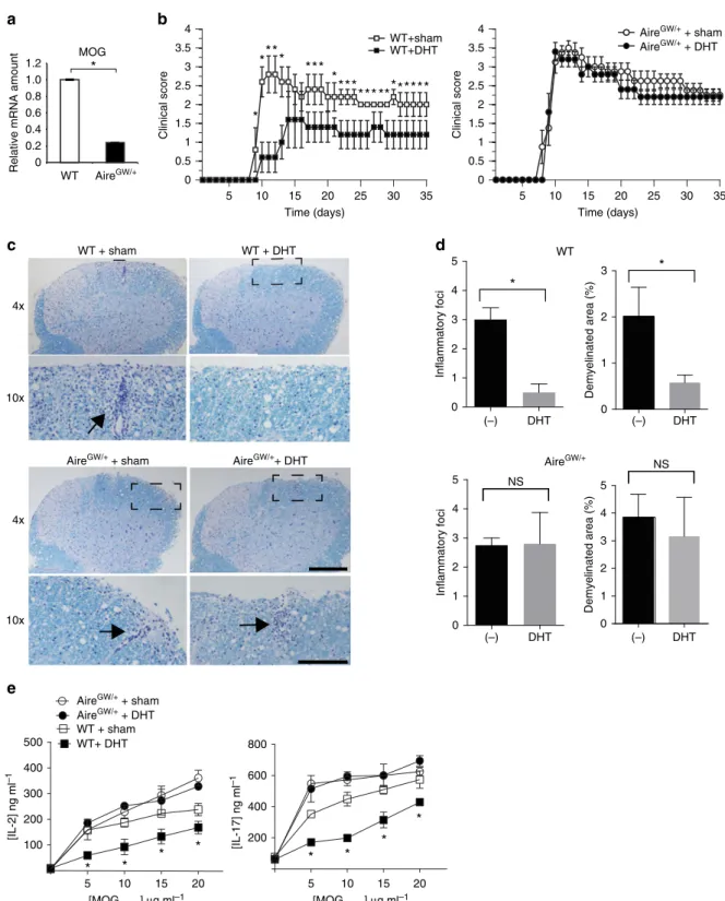 Figure 5 | Androgen protects against EAE in an Aire-dependent manner. (a) Relative MOG mRNA expression in sorted WT and Aire-deﬁcient (Aire GW/ þ ) mTECs was determined by quantitative RT–PCR