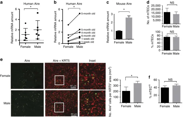 Figure 1 | Male thymus expresses increased Aire in humans and mice. (a) Relative Aire mRNA expression in human thymus of male and female infants (o6 months of age)