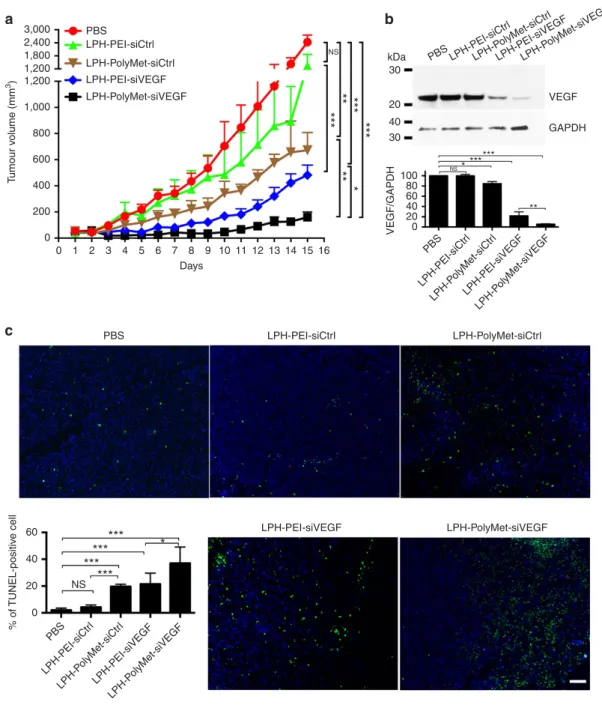 Figure 3 | LPH nanoparticles composed of PolyMet can systemically deliver VEGF siRNA to the tumour site and inhibit tumour growth