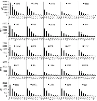 FIG 3 Sensitivity for detection of drug resistance mutations at 20 mutation sites. Twofold serial dilutions of the Mut template against the WT template weretested with the MAS assay