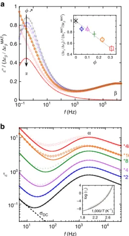 Figure 2 | Dielectric properties of nanocomposites. (a) Dielectric loss (e 00 ) reduced by the ratio of the b-process intensity over the corresponding matrix one, ðDe b =De MAT b Þ, as a function of frequency at T ¼ 380 K for neat P2VP (cross) and nanocomp