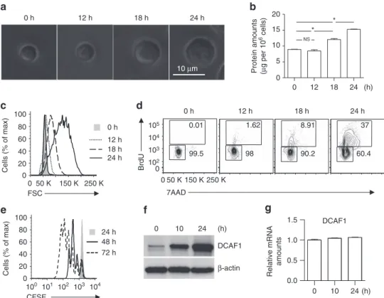 Figure 1 | Activation-induced cell growth and cell cycle entry of T cells. (a–c) Naive CD4 þ T cells were activated by anti-CD3 and anti-CD28