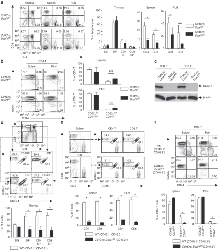 Figure 2 | DCAF1 regulates T-cell development and homeostasis. (a) The distribution of various T-cell populations in the thymus, spleen and periphery lymph nodes (PLN) of mice with different genotypes, assessed by ﬂow-cytometry