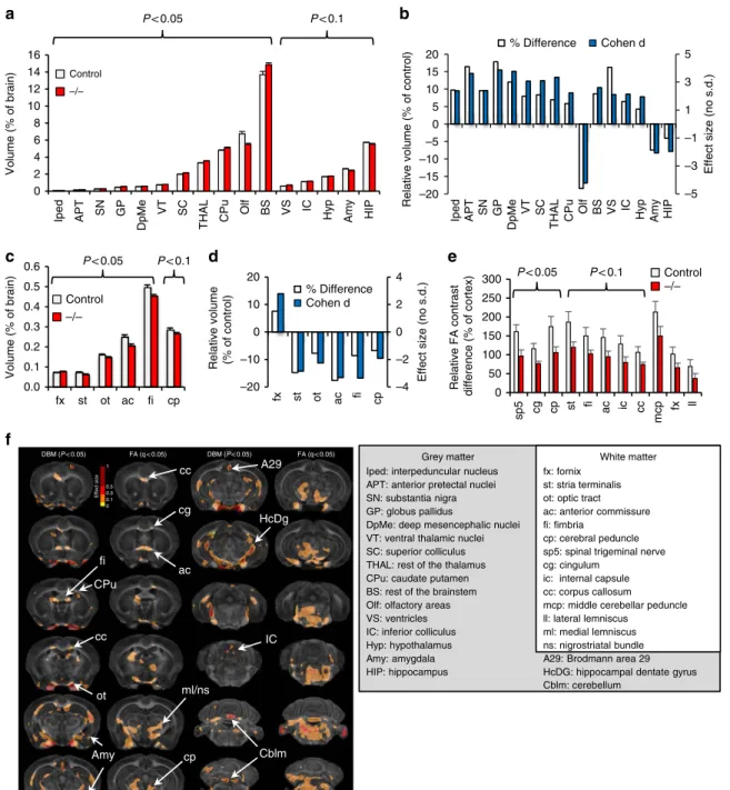 Figure 4 | Abnormalities in brain structure in De4–22  /  mice. (a,b) Volume changes in grey matter of De4–22 mice