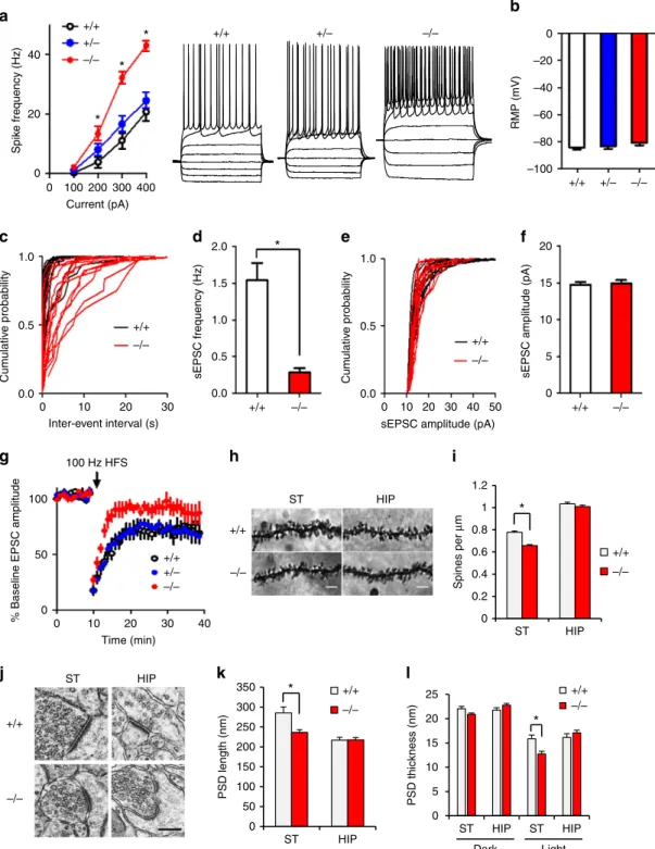 Figure 5 | Electrophysiological characterization of striatal medium spiny neurons in De4–22 mice