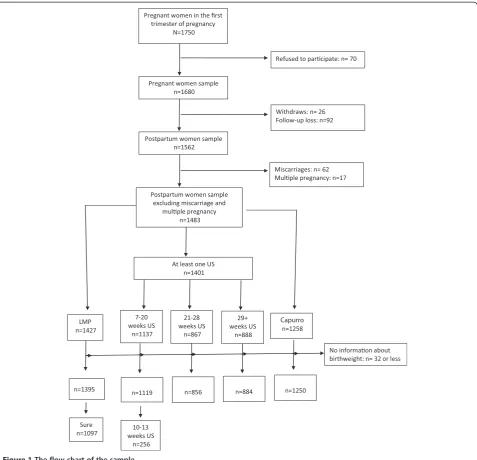 Figure 1 The flow chart of the sample.