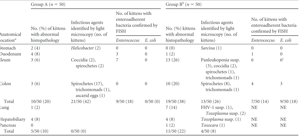 TABLE 2 Categorization of clinical signs reported premortem for 100 kittens with or without enteroadherentcoli Enterococcus spp