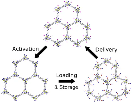 Figure 1.5. Absorption, storage, and release of nitric oxide (NO) in a Co or Ni MOF. 