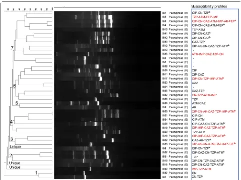 Fig. 3 Dendrogram based on Dice’s coefficient of similarity using the UPGMA method implemented by the Bionumerix program showing relation-ships between P