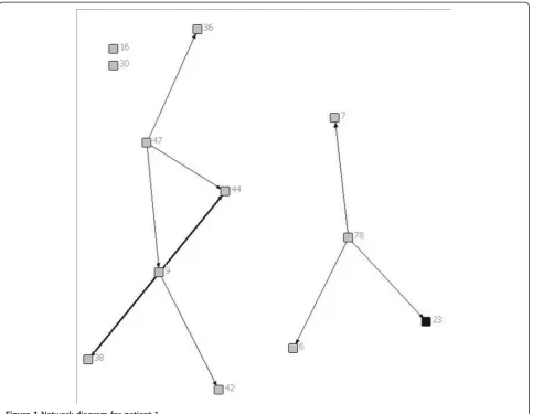 Figure 1 Network diagram for patient 1.
