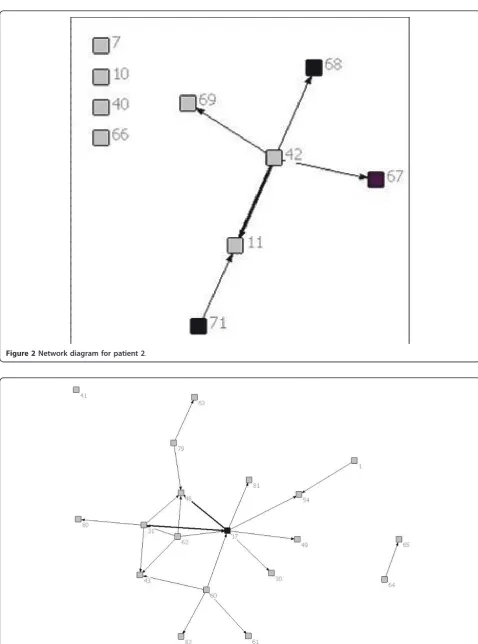 Figure 2 Network diagram for patient 2.
