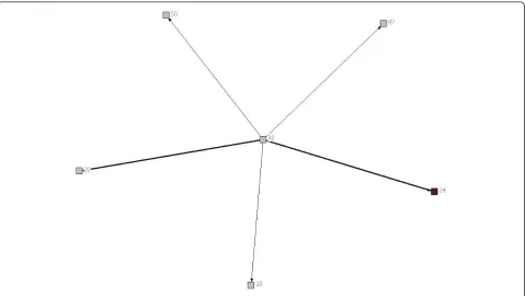 Figure 4 Network diagram for patient 4.