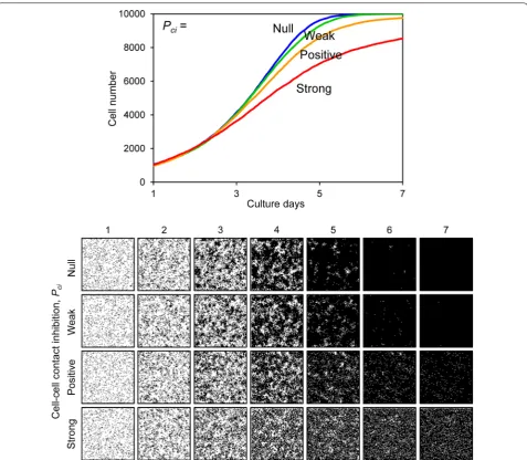 Fig. 10 Cell proliferation simulation with varied cell–cell contact inhibition of proliferation
