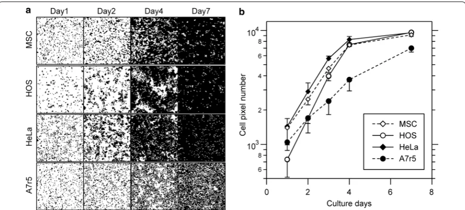 Fig. 4 Experimentally obtained cell proliferation images. a The cell proliferation images of each cell type