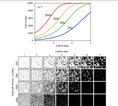 Fig. 6 Cell proliferation simulation with varying initial cell numbers. The Pupper graph shows the growth curves and the lower images are the prolifer‑ating cell images for each condition