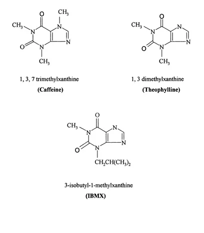 Figure 1.2 Structures of non-selective PDE inhibitors. 3-isobutyl-1-methylxanthine 