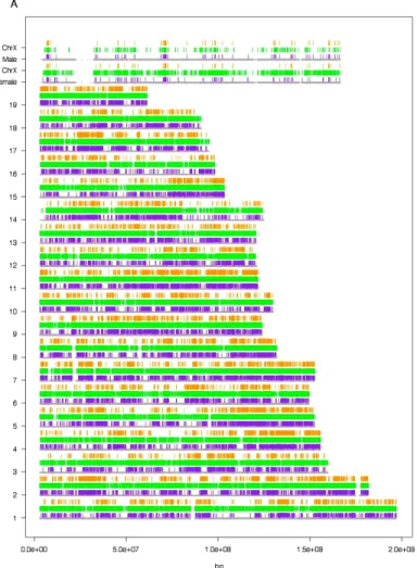 Figure 2-4.  Global and allele-specific maps of methylation patterns in the mouse  brain