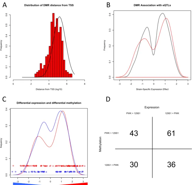 Figure 2-5.  Functional analysis of strain-specific DMRs.  Panel A shows the distribution  of distances (log10(base pairs)) between the 305 strain-specific DMRs and TSSs 