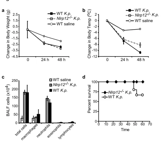 Figure 3.6  -3.5-2.5-0.5 -4.5-1.50.51.52.5 Change in BodyWeight (g) 0 24 h 48 h WT K.p