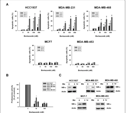 Figure 1 Differential apoptotic effects and similar proteasome inhibition induced by bortezomib in breast cancer cells