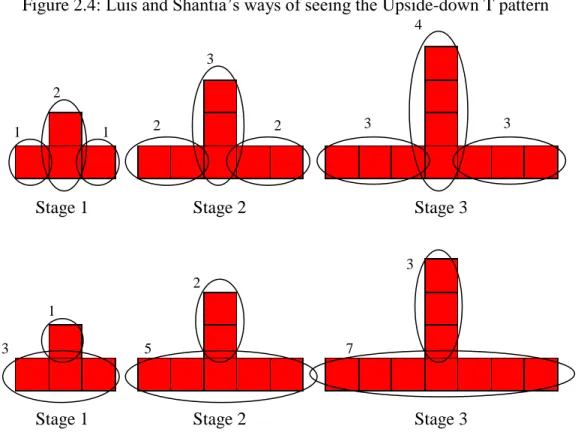 Figure 2.4: Luis and Shantia‘s ways of seeing the Upside-down T pattern 