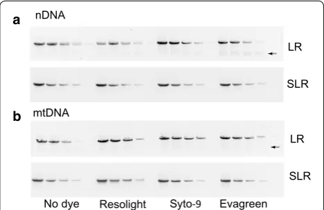 Fig. 1 Test of different fluorescent dyes on sensitivity and specificity of LR and SLR PCR