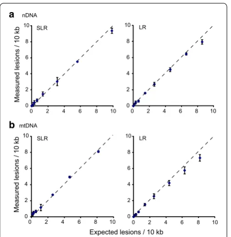 Fig. 2 Correlation of calculated and measured DNA lesion frequen-cies in a nDNA and b mtDNA