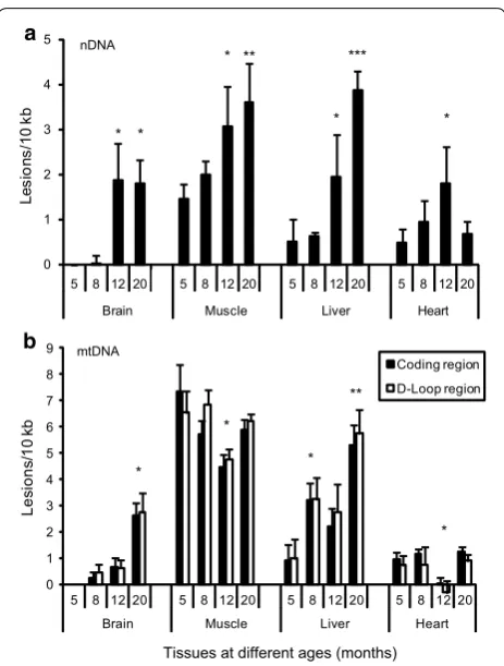 Fig. 4 DNA damage measured within a nuclear and b mitochondrial DNA from different tissues of zebrafish of different ages