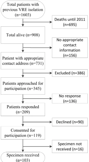 FIG 1 Flowchart showing recruitment for participation in study. The num-bers of each patient are indicated in parentheses.