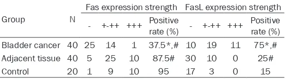 Table 2. Fas and FasL expression in bladder tissues