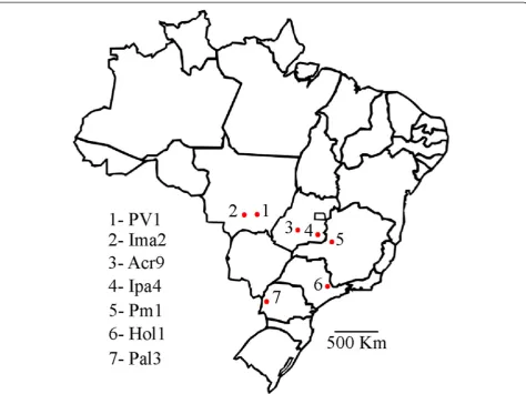 Table 1 Brazilian isolates of cotton leafroll dwarf virus used in the study