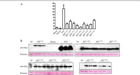 Table 3 Proportion of plants showing systemic silencing at 16,20 and 29 days post-infiltration (dpi)